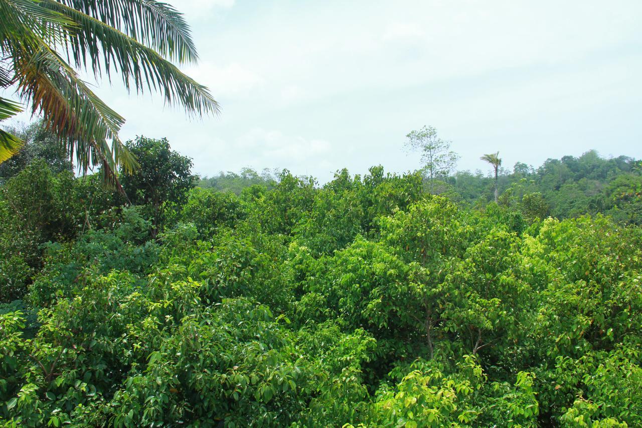 Villa Mirissa Eco Hills Exterior foto